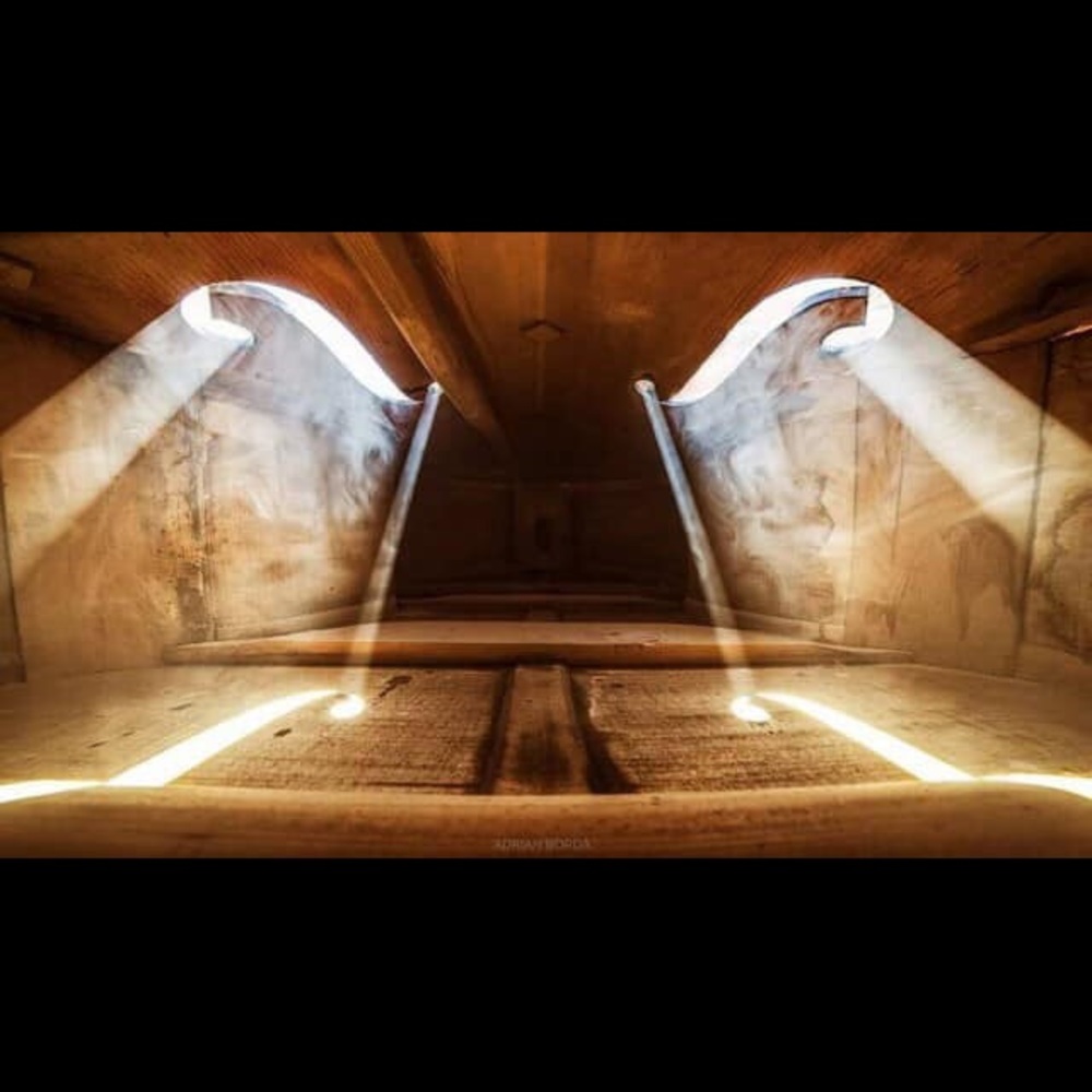 Meet your Posher, Olena